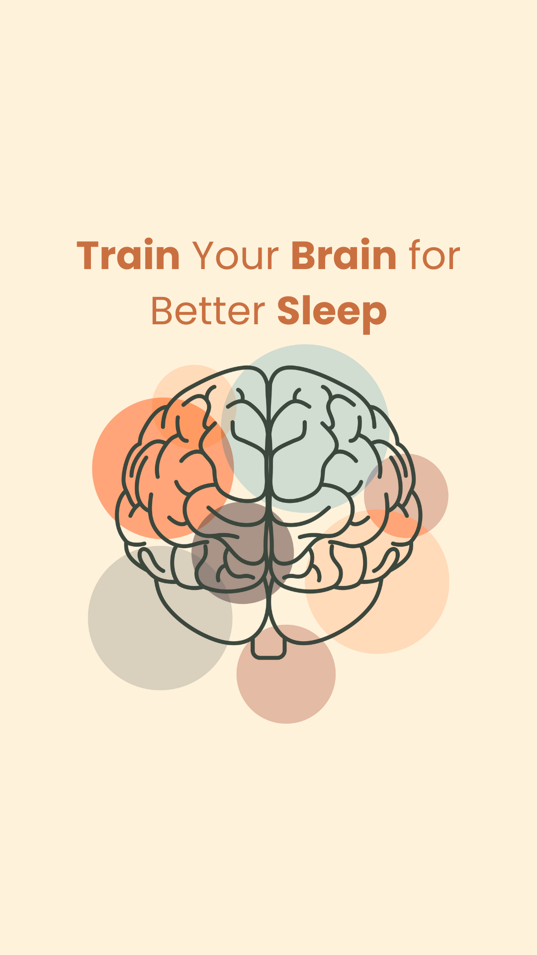 وصف الصورة 3